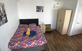 City Sparrow Apartment 6C